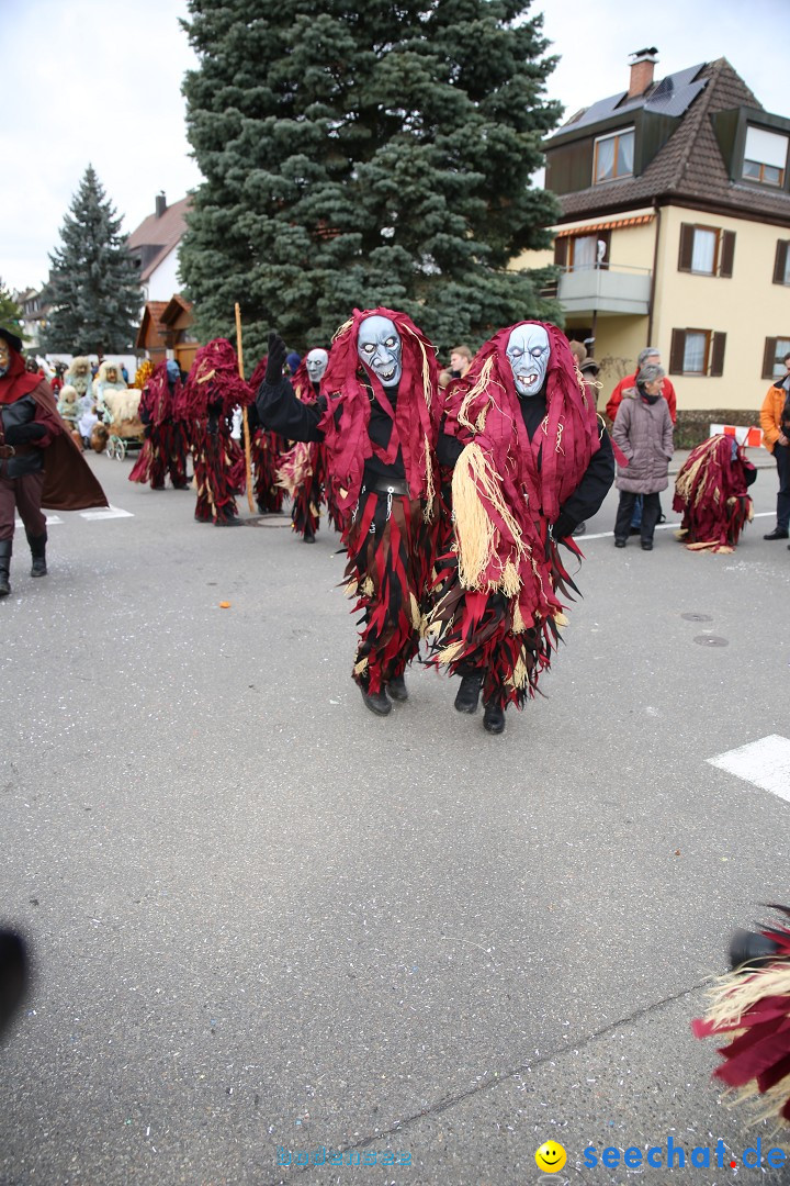 Fasnetsumzug - Fasching: Fischbach am Bodensee, 02.02.2018