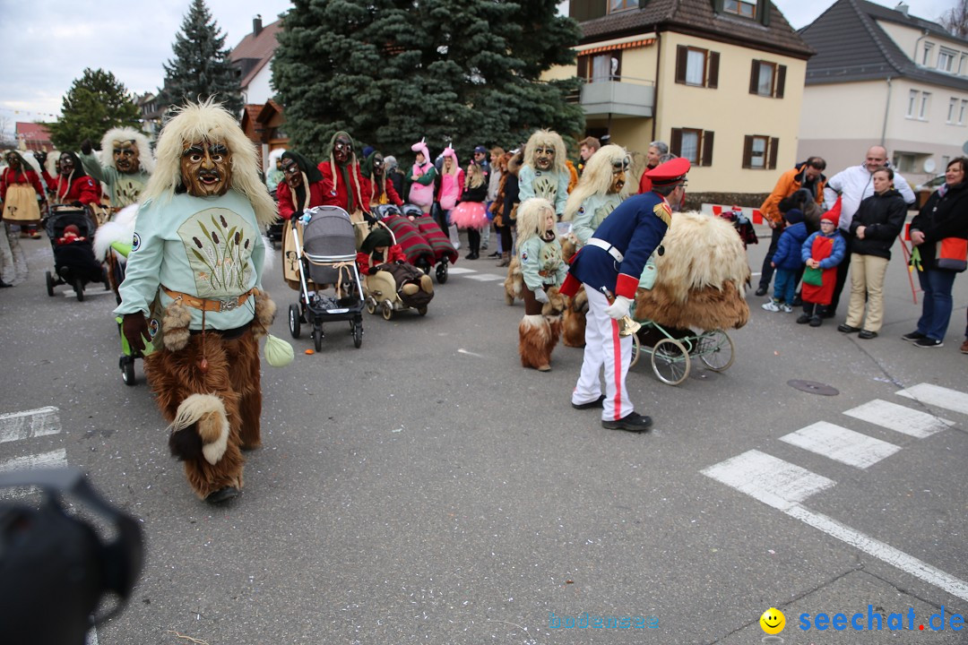 Fasnetsumzug - Fasching: Fischbach am Bodensee, 02.02.2018