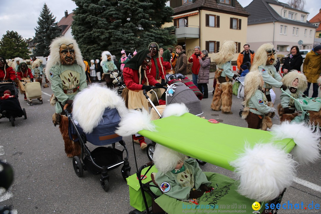 Fasnetsumzug - Fasching: Fischbach am Bodensee, 02.02.2018