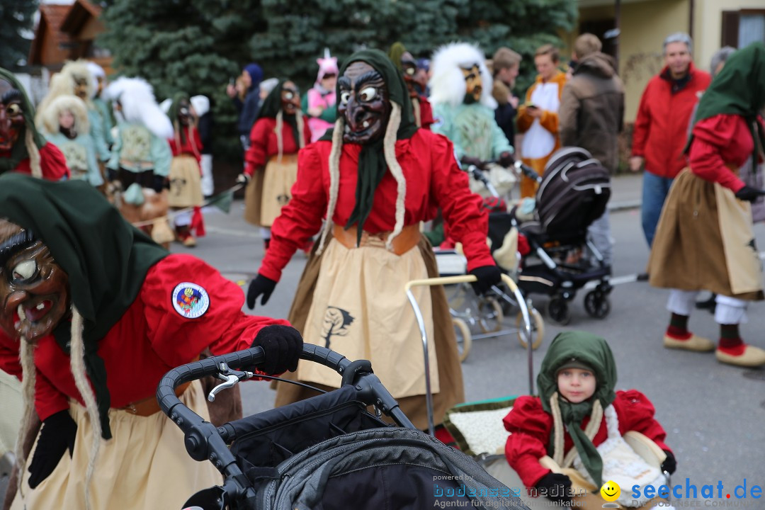 Fasnetsumzug - Fasching: Fischbach am Bodensee, 02.02.2018