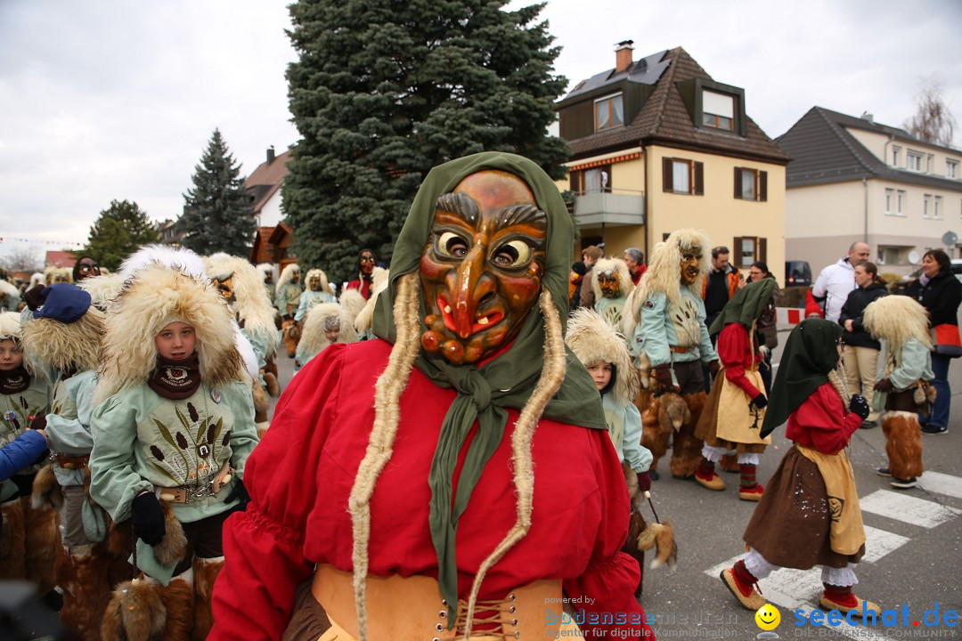 Fasnetsumzug - Fasching: Fischbach am Bodensee, 02.02.2018