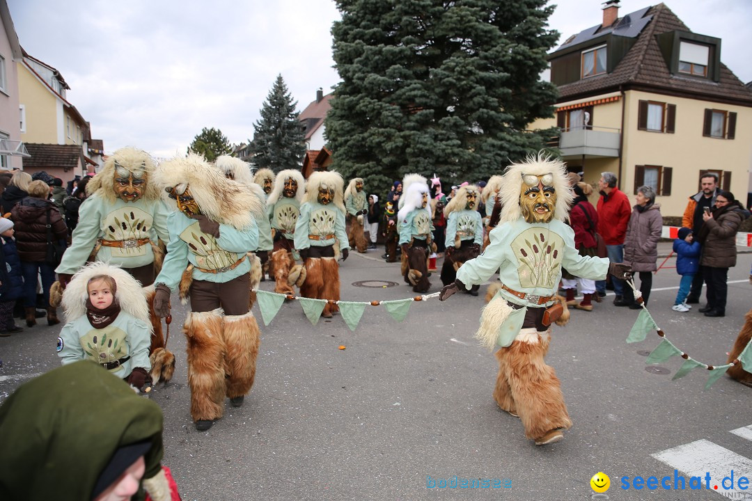 Fasnetsumzug - Fasching: Fischbach am Bodensee, 02.02.2018