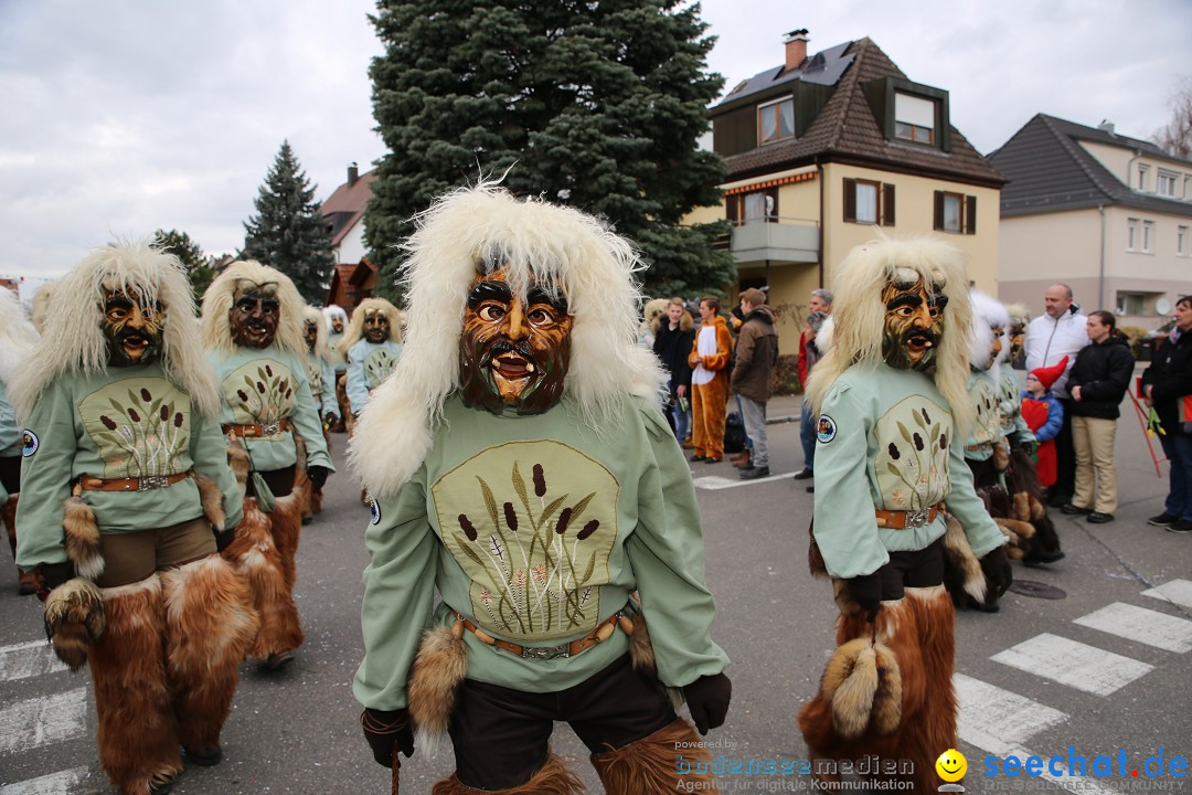 Fasnetsumzug - Fasching: Fischbach am Bodensee, 02.02.2018