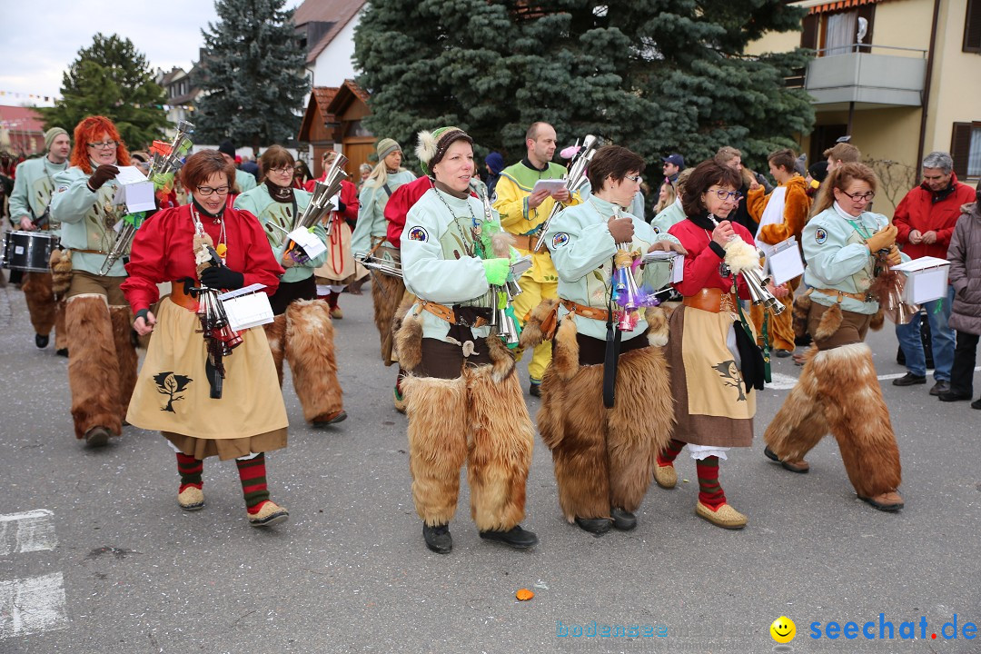 Fasnetsumzug - Fasching: Fischbach am Bodensee, 02.02.2018