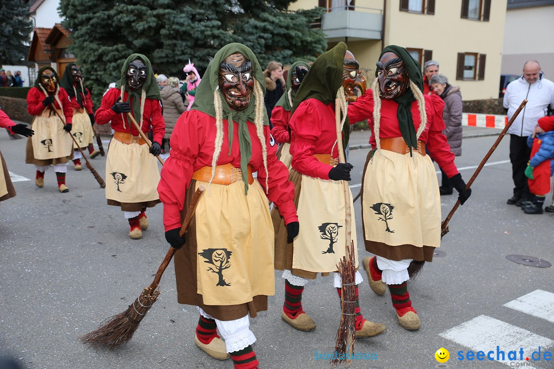 Fasnetsumzug - Fasching: Fischbach am Bodensee, 02.02.2018