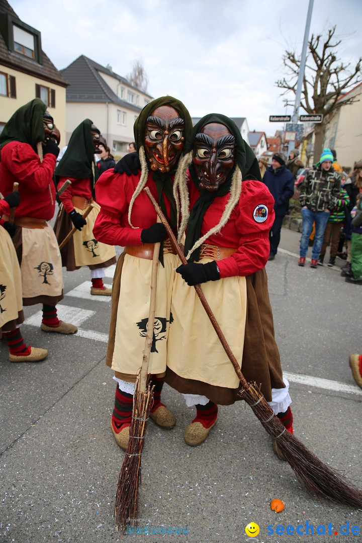 Fasnetsumzug - Fasching: Fischbach am Bodensee, 02.02.2018