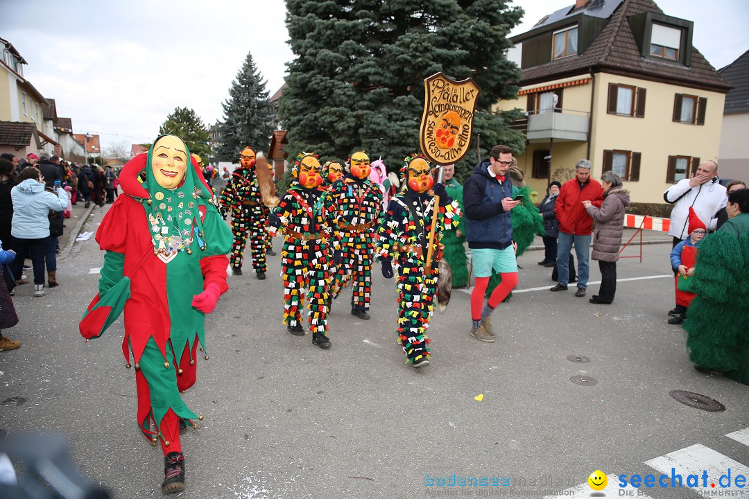 Fasnetsumzug - Fasching: Fischbach am Bodensee, 02.02.2018