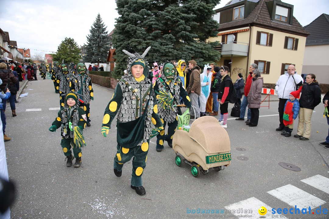 Fasnetsumzug - Fasching: Fischbach am Bodensee, 02.02.2018