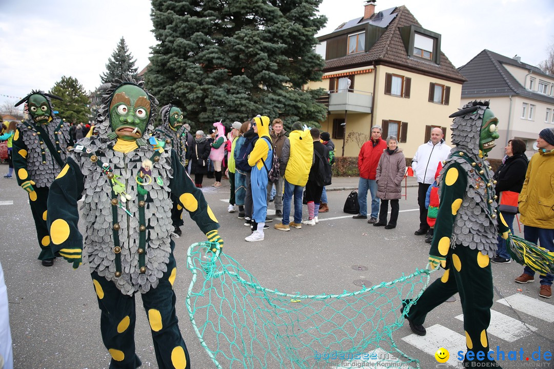 Fasnetsumzug - Fasching: Fischbach am Bodensee, 02.02.2018