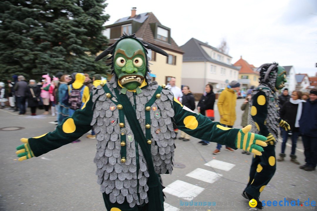 Fasnetsumzug - Fasching: Fischbach am Bodensee, 02.02.2018