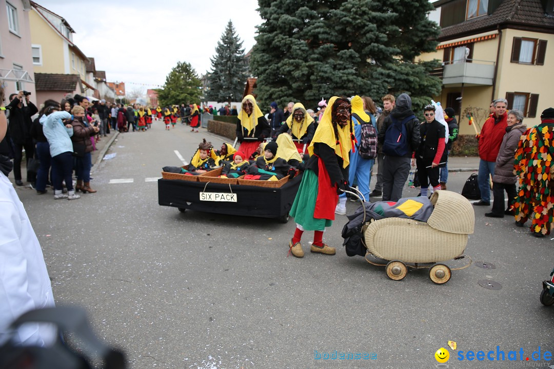 Fasnetsumzug - Fasching: Fischbach am Bodensee, 02.02.2018