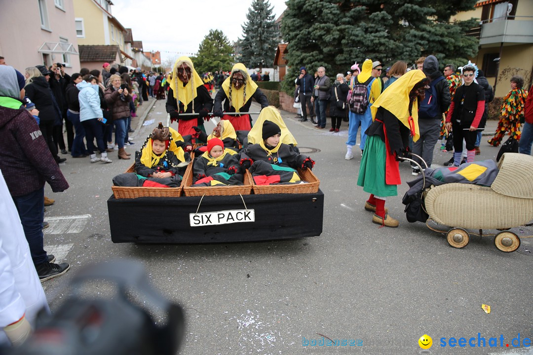 Fasnetsumzug - Fasching: Fischbach am Bodensee, 02.02.2018