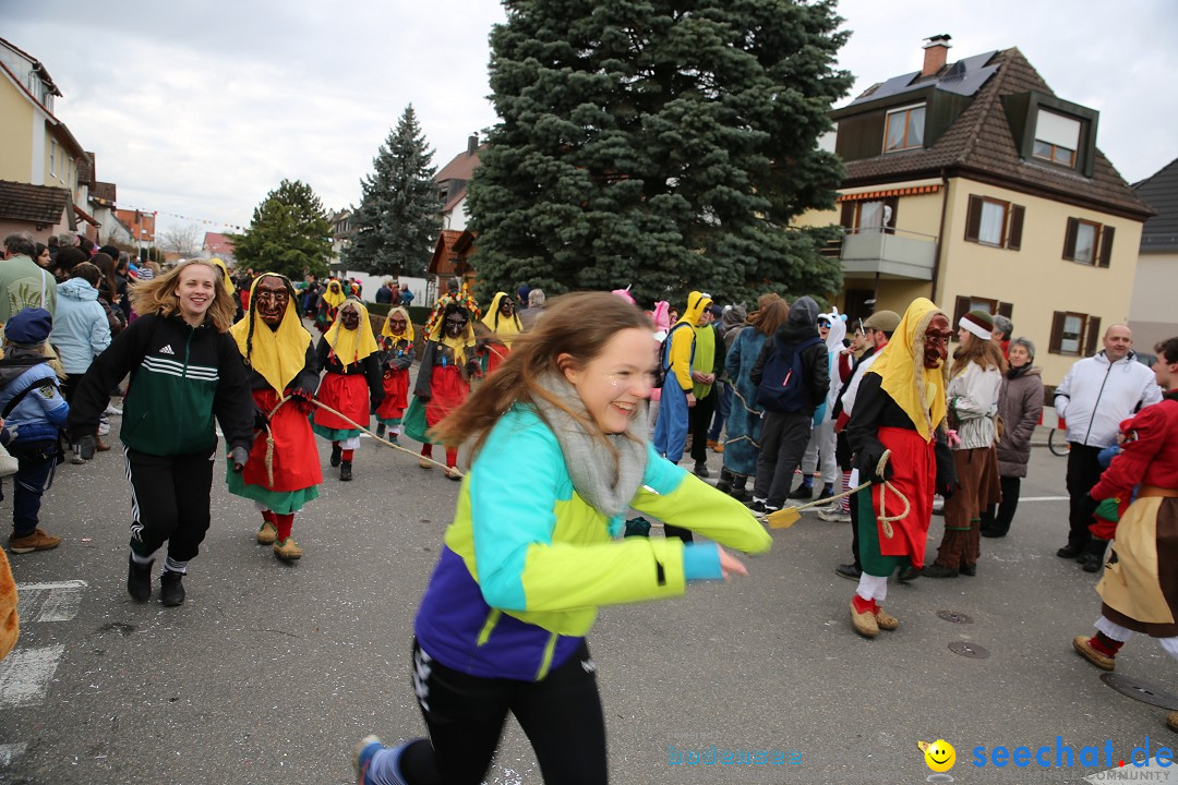 Fasnetsumzug - Fasching: Fischbach am Bodensee, 02.02.2018