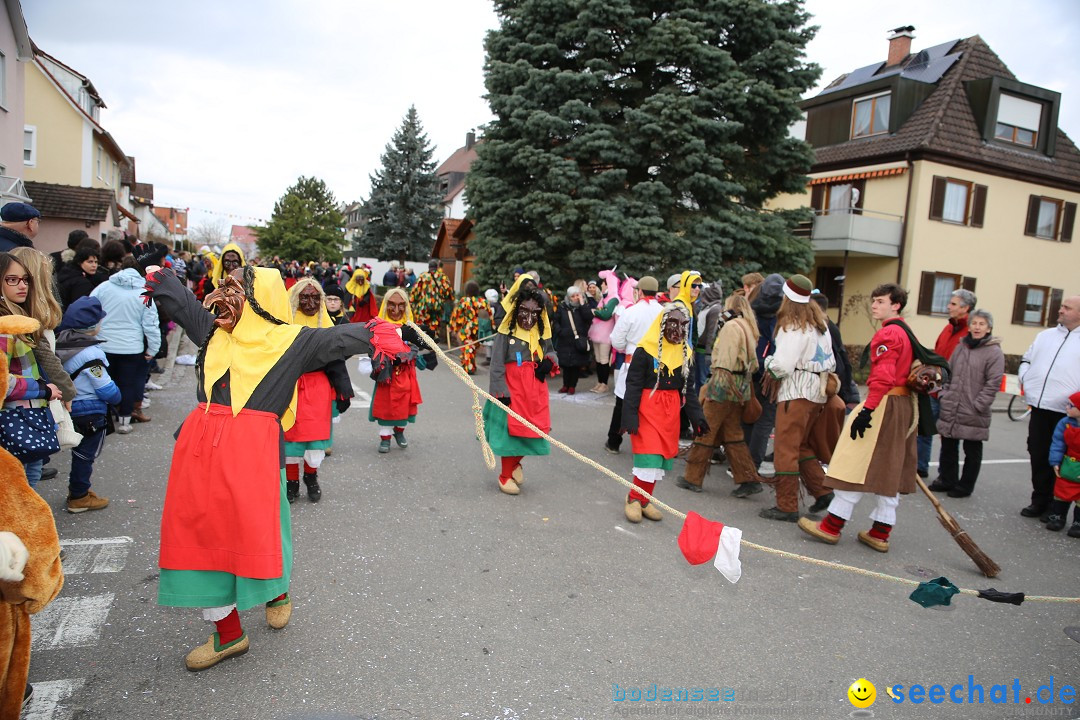 Fasnetsumzug - Fasching: Fischbach am Bodensee, 02.02.2018