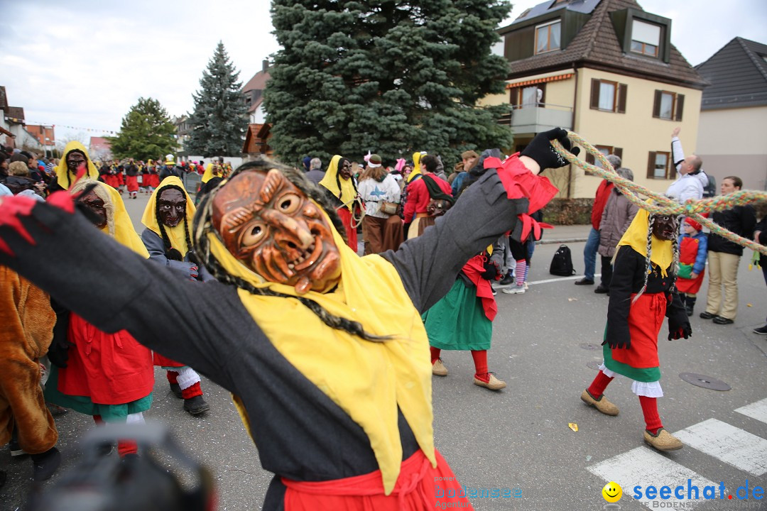 Fasnetsumzug - Fasching: Fischbach am Bodensee, 02.02.2018