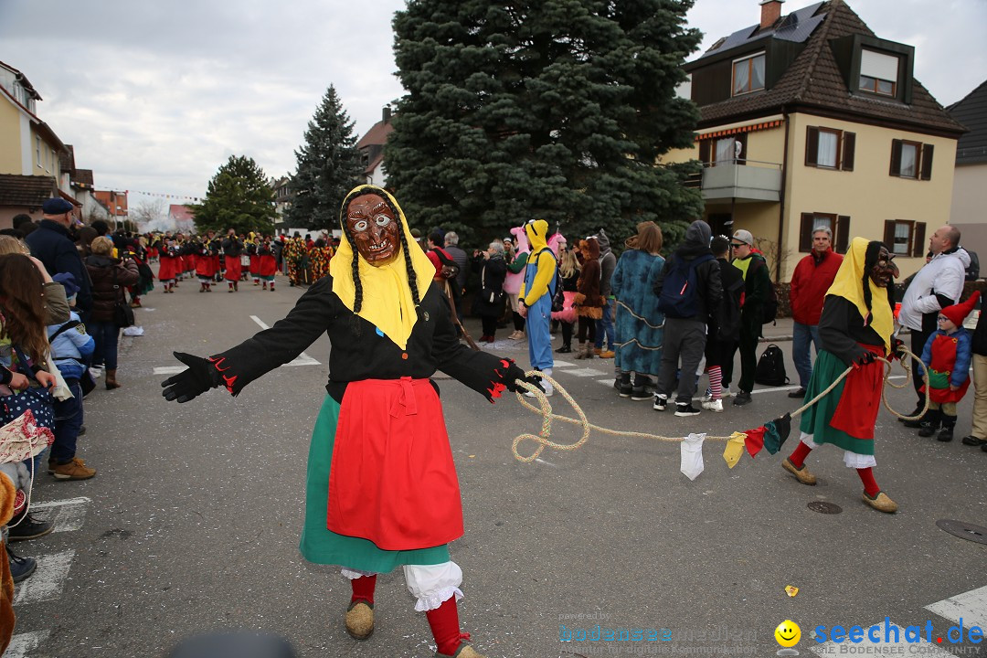 Fasnetsumzug - Fasching: Fischbach am Bodensee, 02.02.2018