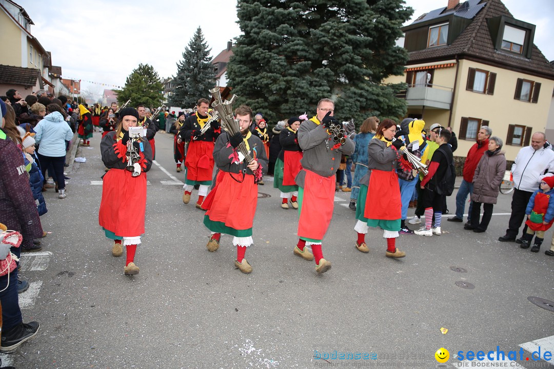 Fasnetsumzug - Fasching: Fischbach am Bodensee, 02.02.2018