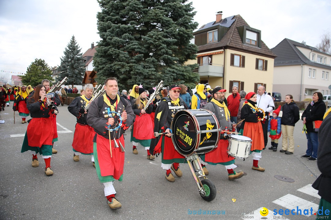 Fasnetsumzug - Fasching: Fischbach am Bodensee, 02.02.2018