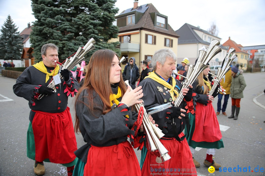 Fasnetsumzug - Fasching: Fischbach am Bodensee, 02.02.2018