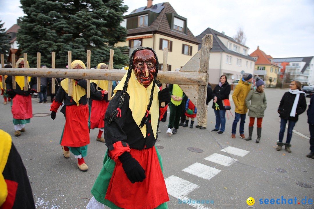 Fasnetsumzug - Fasching: Fischbach am Bodensee, 02.02.2018