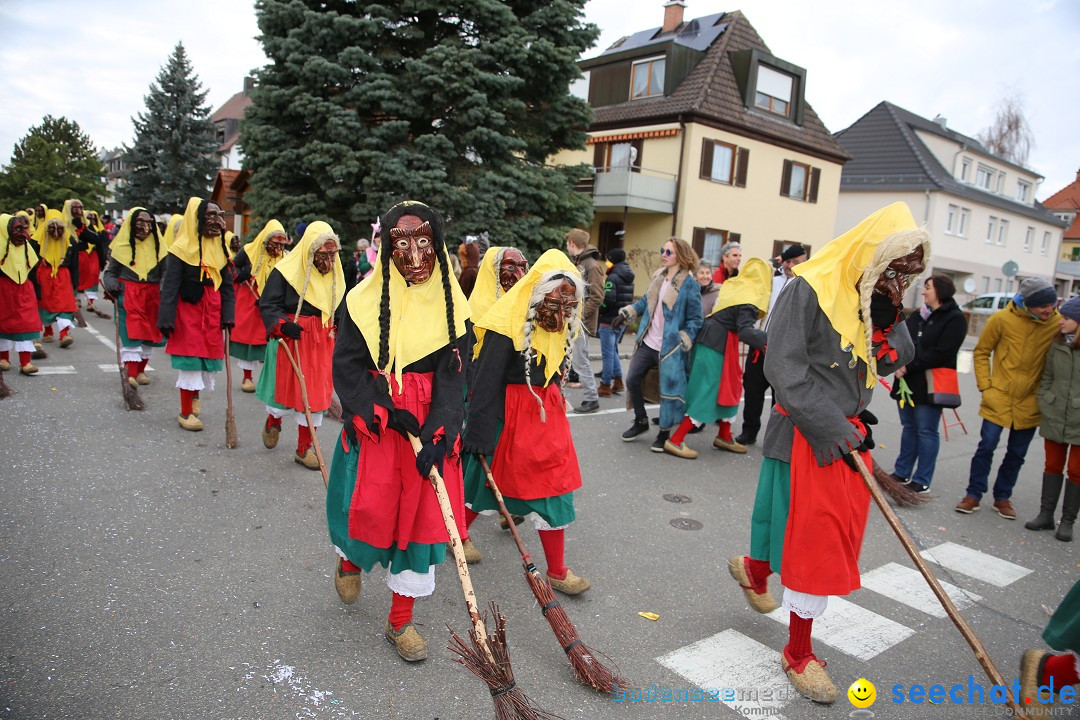 Fasnetsumzug - Fasching: Fischbach am Bodensee, 02.02.2018