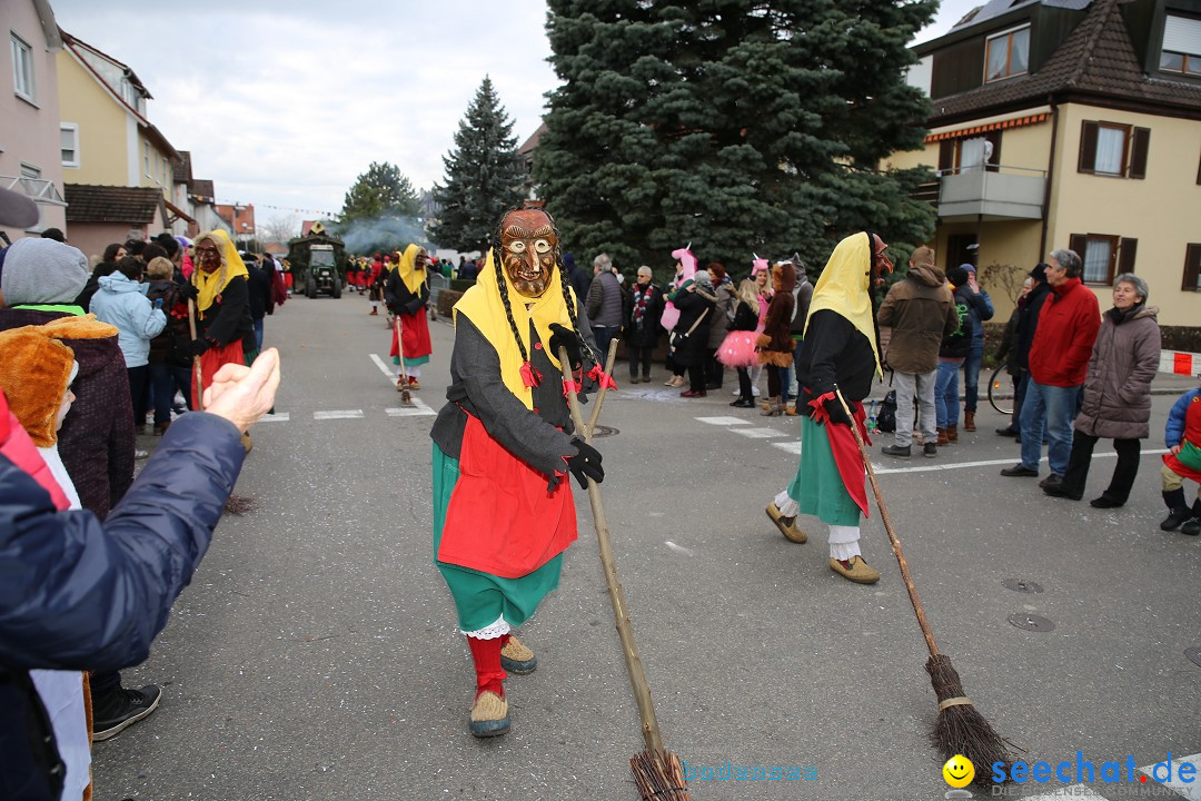 Fasnetsumzug - Fasching: Fischbach am Bodensee, 02.02.2018