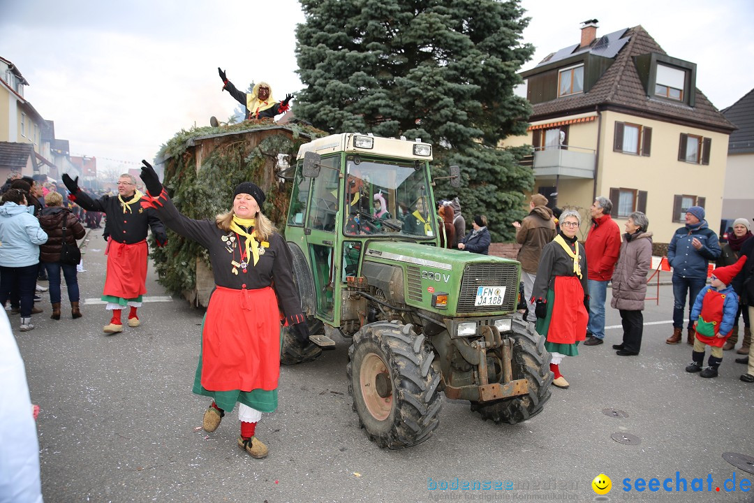 Fasnetsumzug - Fasching: Fischbach am Bodensee, 02.02.2018