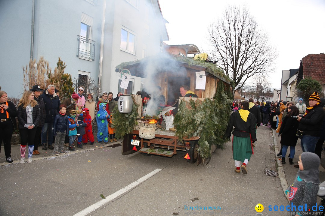 Fasnetsumzug - Fasching: Fischbach am Bodensee, 02.02.2018