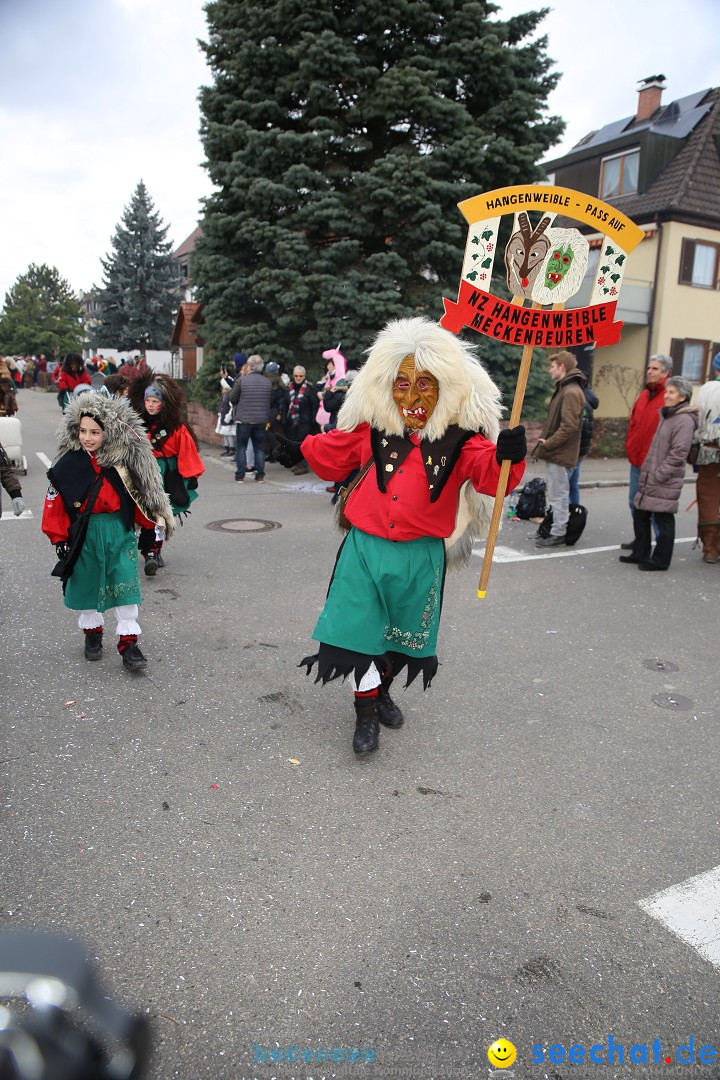 Fasnetsumzug - Fasching: Fischbach am Bodensee, 02.02.2018