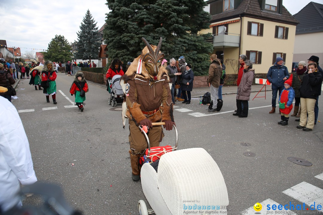 Fasnetsumzug - Fasching: Fischbach am Bodensee, 02.02.2018