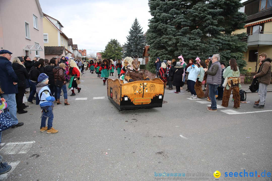 Fasnetsumzug - Fasching: Fischbach am Bodensee, 02.02.2018