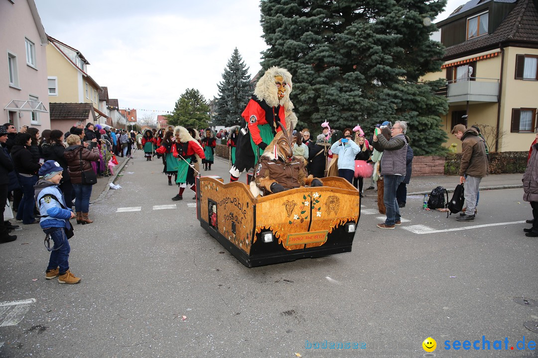 Fasnetsumzug - Fasching: Fischbach am Bodensee, 02.02.2018