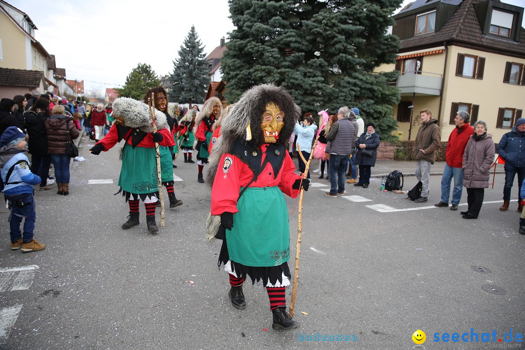 Fasnetsumzug - Fasching: Fischbach am Bodensee, 02.02.2018