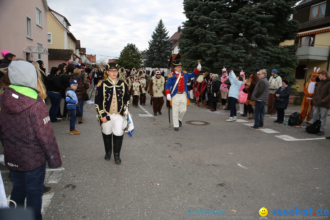 Fasnetsumzug - Fasching: Fischbach am Bodensee, 02.02.2018