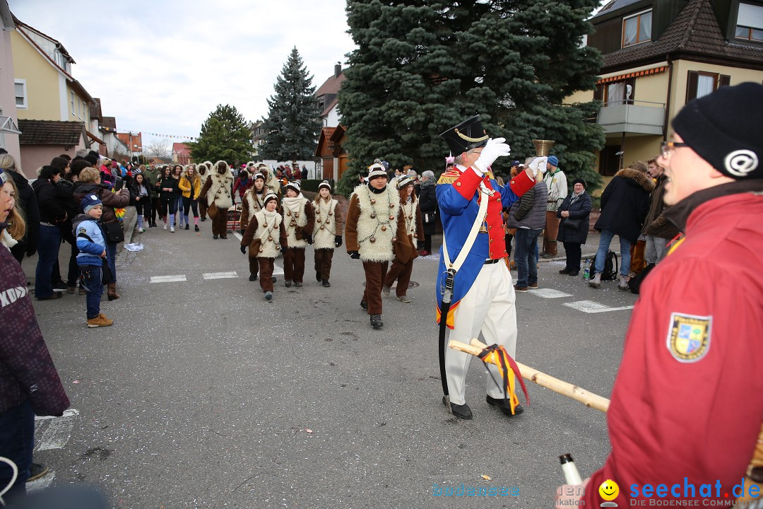 Fasnetsumzug - Fasching: Fischbach am Bodensee, 02.02.2018