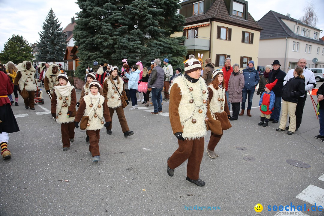 Fasnetsumzug - Fasching: Fischbach am Bodensee, 02.02.2018