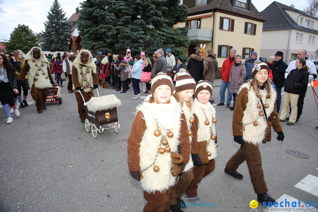 Fasnetsumzug - Fasching: Fischbach am Bodensee, 02.02.2018