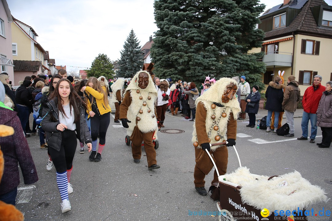 Fasnetsumzug - Fasching: Fischbach am Bodensee, 02.02.2018