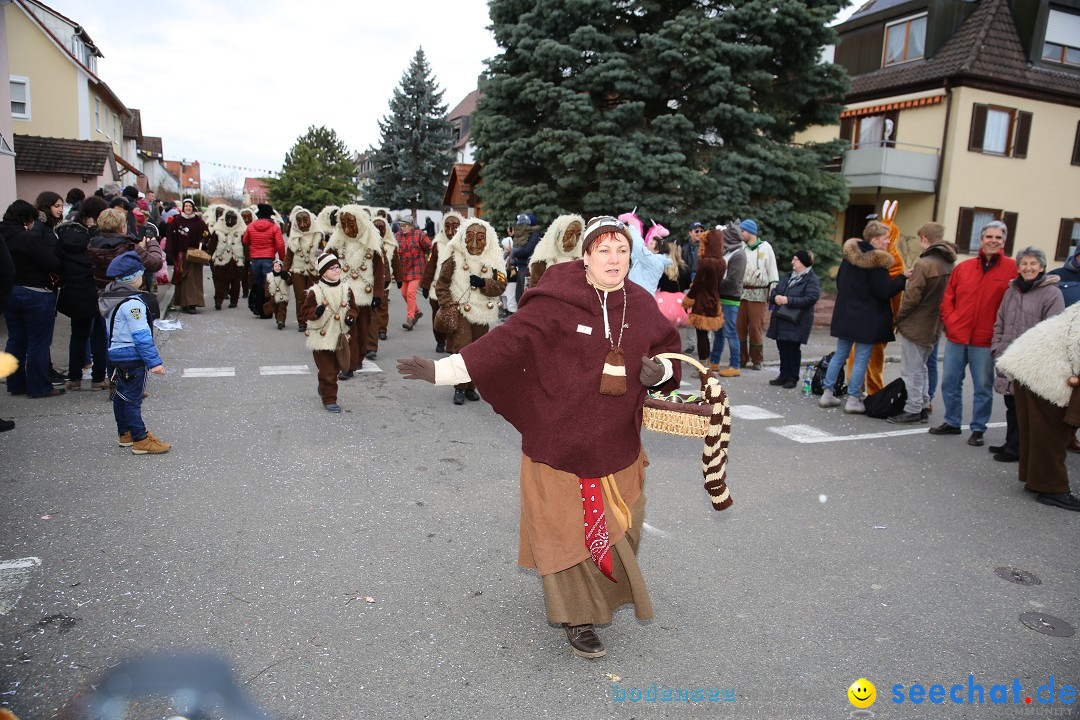 Fasnetsumzug - Fasching: Fischbach am Bodensee, 02.02.2018