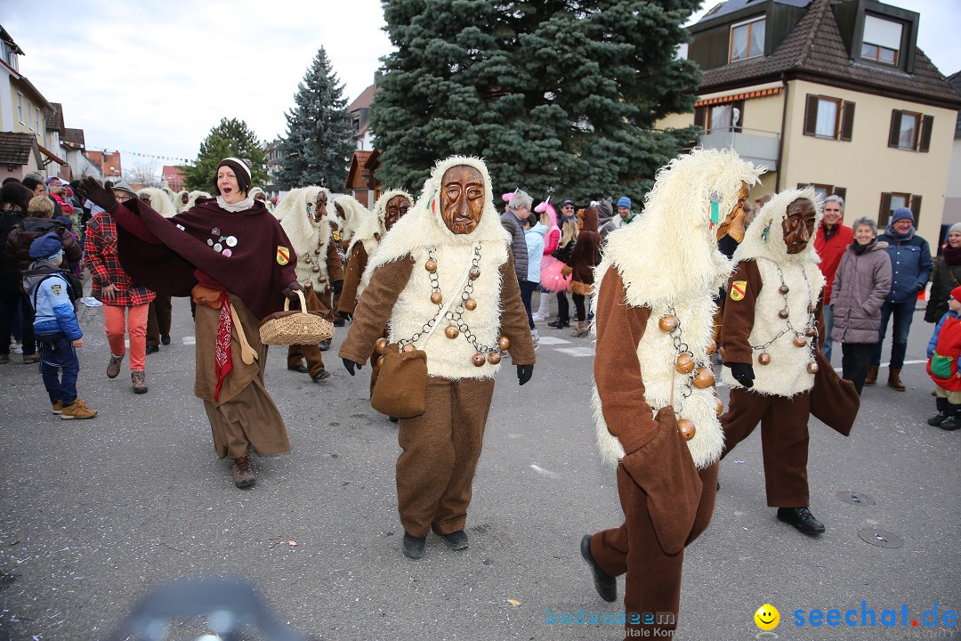 Fasnetsumzug - Fasching: Fischbach am Bodensee, 02.02.2018