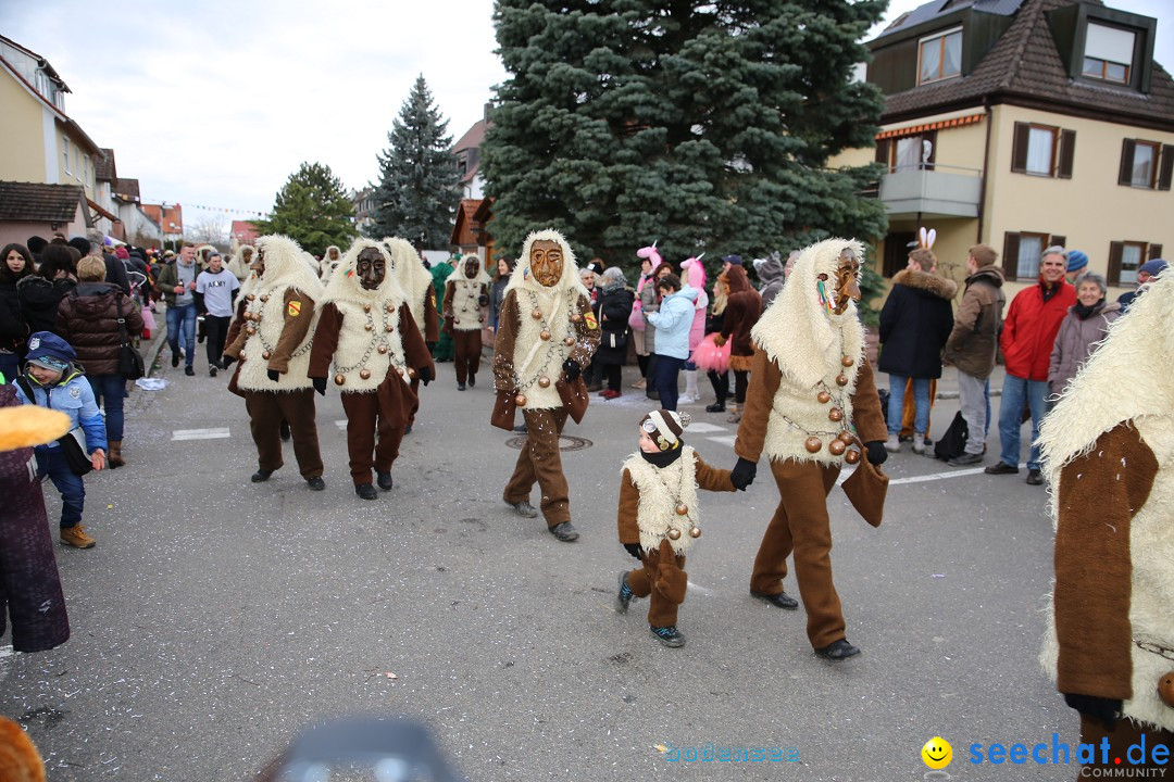 Fasnetsumzug - Fasching: Fischbach am Bodensee, 02.02.2018