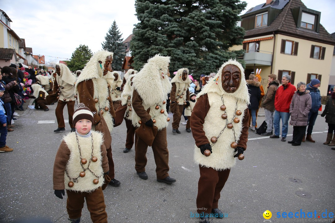 Fasnetsumzug - Fasching: Fischbach am Bodensee, 02.02.2018