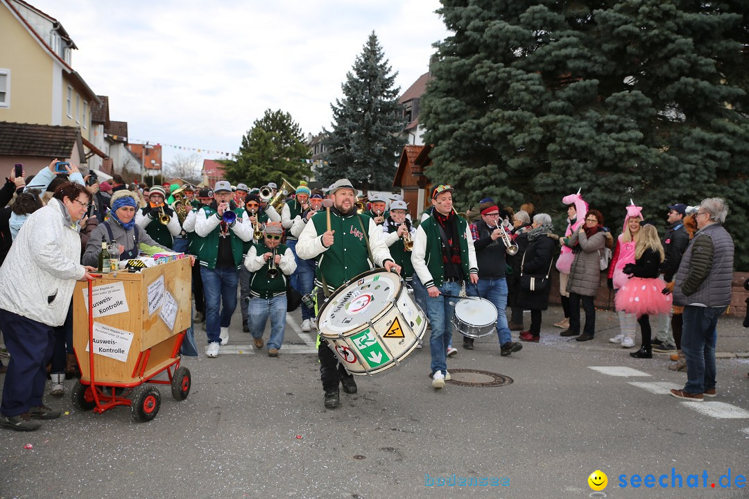 Fasnetsumzug - Fasching: Fischbach am Bodensee, 02.02.2018