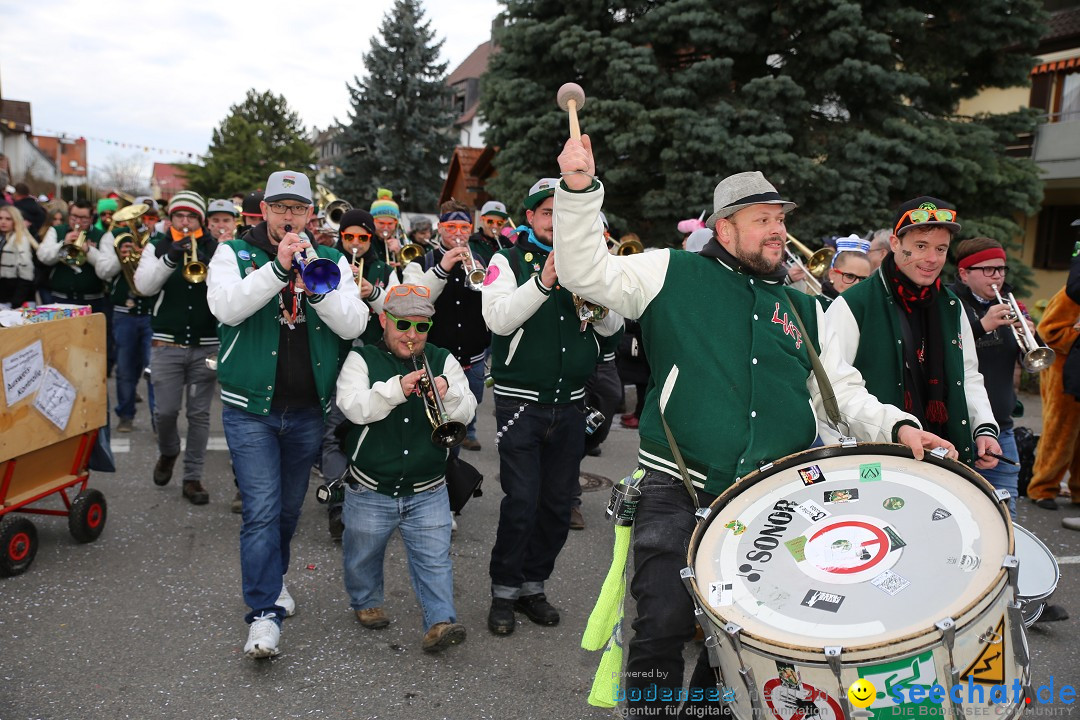 Fasnetsumzug - Fasching: Fischbach am Bodensee, 02.02.2018