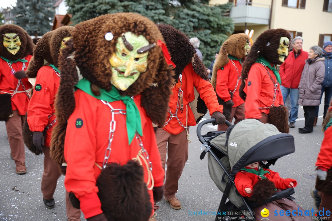 Fasnetsumzug - Fasching: Fischbach am Bodensee, 02.02.2018