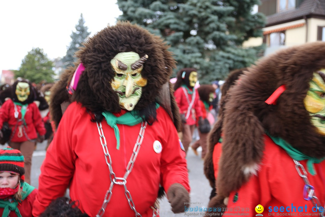 Fasnetsumzug - Fasching: Fischbach am Bodensee, 02.02.2018