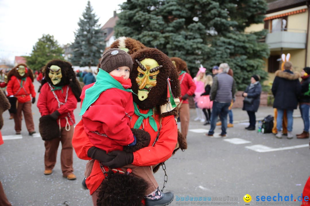 Fasnetsumzug - Fasching: Fischbach am Bodensee, 02.02.2018