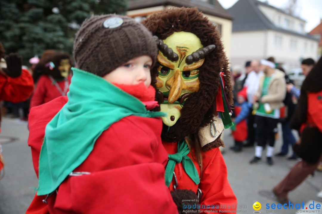 Fasnetsumzug - Fasching: Fischbach am Bodensee, 02.02.2018