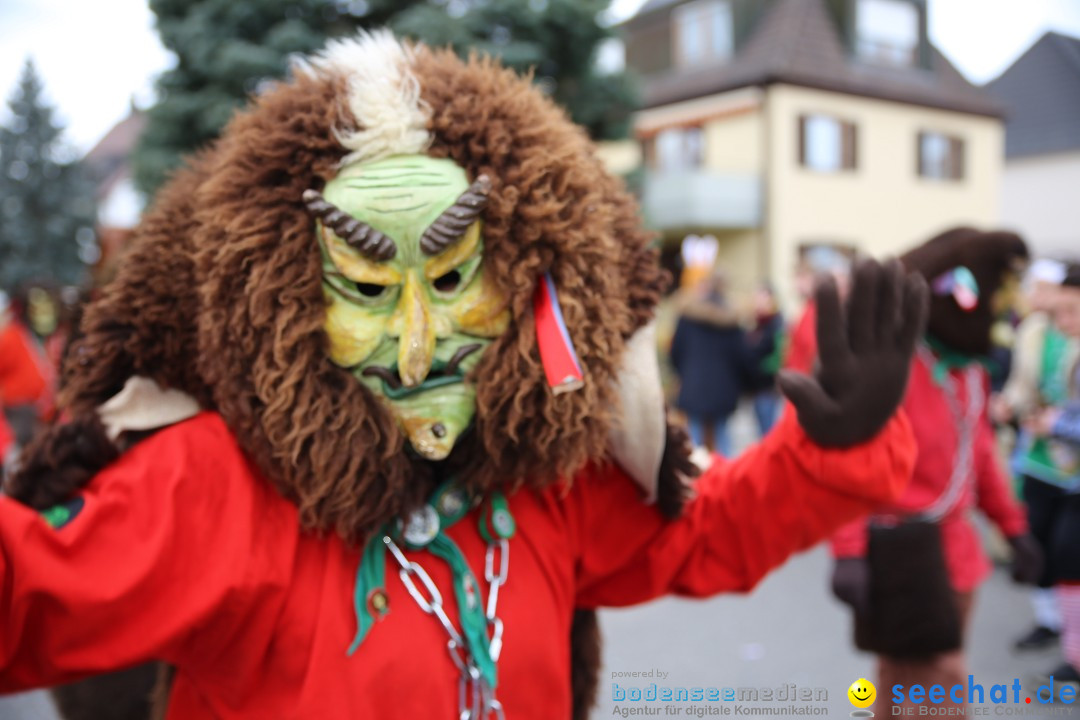 Fasnetsumzug - Fasching: Fischbach am Bodensee, 02.02.2018