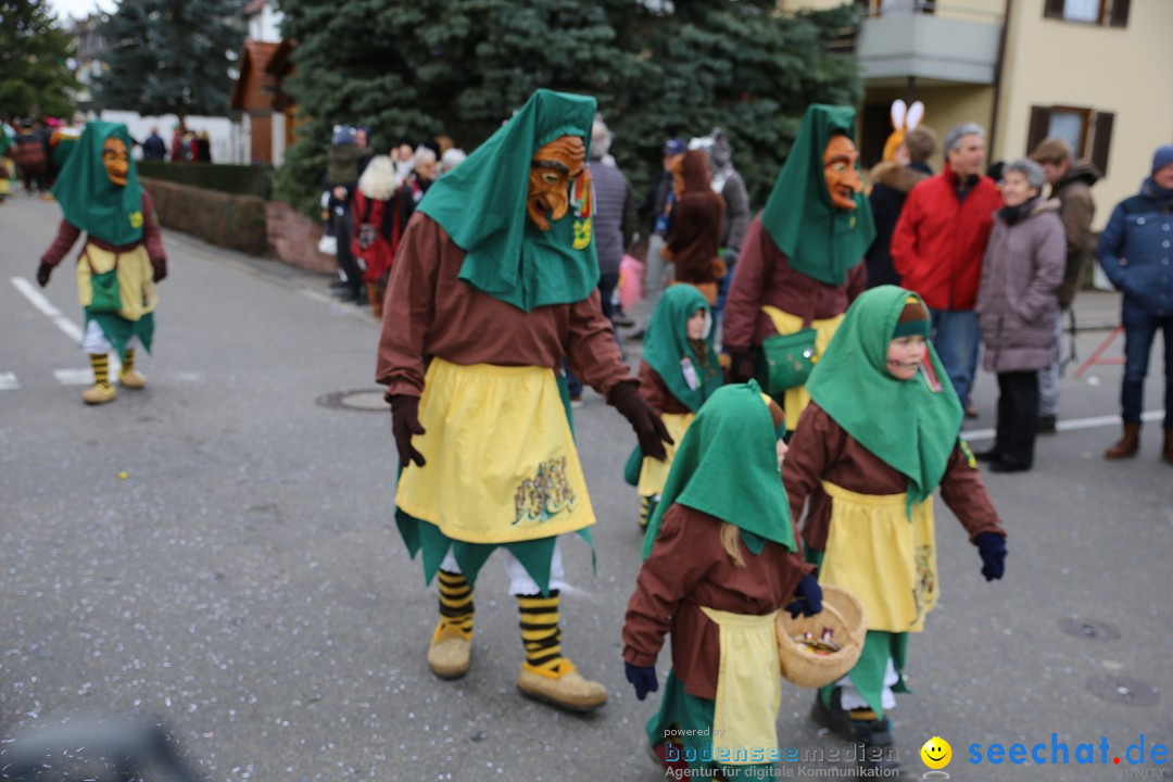 Fasnetsumzug - Fasching: Fischbach am Bodensee, 02.02.2018